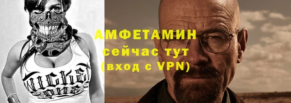 индика Пролетарск
