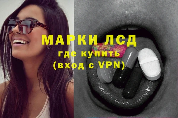 Альфа ПВП Ростов